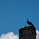 Nunnington Hall 20220418 152359