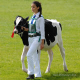 Me and My Favourite Calf