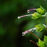 Swinsty 20240714 141806 copy