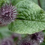 Swinsty 20240714 142841 copy