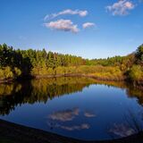 Swinsty 20241111 155123 copy