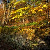 Swinsty 20241111 160857 copy