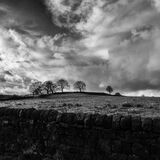 Swinsty 20241230 132357 copy