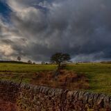 Swinsty 20241230 132647 copy