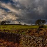 Swinsty 20241230 132724 copy