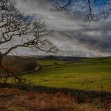 Swinsty 20241230 133213 copy