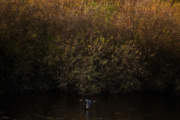 Wetherby 20251027 135627-DxO DeepPRIME 3-1 copy