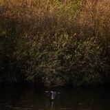 Wetherby 20251027 135627-DxO DeepPRIME 3-1 copy