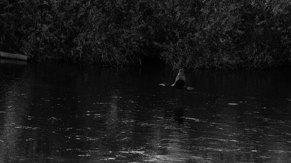 Wetherby 20251027 135628-DxO DeepPRIME 3-1 copy