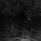 Wetherby 20251027 135628-DxO DeepPRIME 3-1 copy