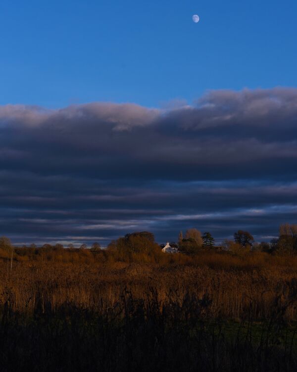 Wetlands Ripon 20251231 150819 01