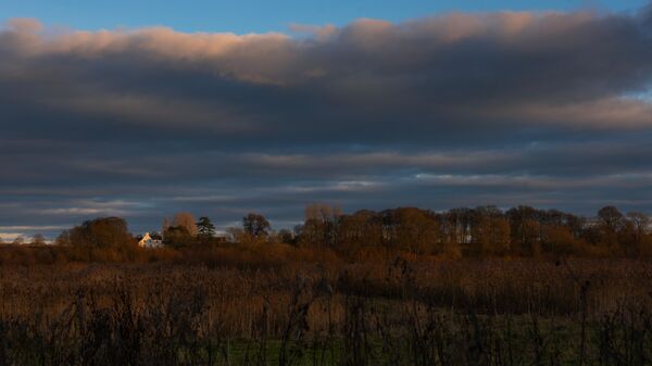 Wetlands Ripon 20251231 150958