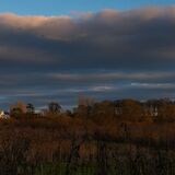 Wetlands Ripon 20251231 150958