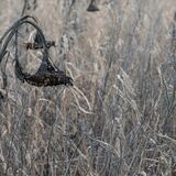 Wetlands Ripon 20251231 151958