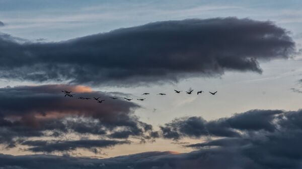 Wetlands Ripon 20251231 153559 01