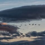 Wetlands Ripon 20251231 153559 01