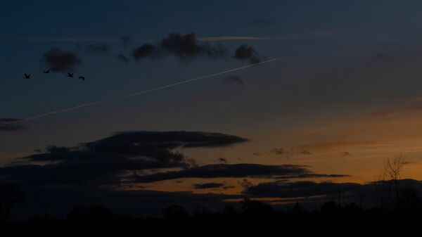 Wetlands Ripon 20251231 155712