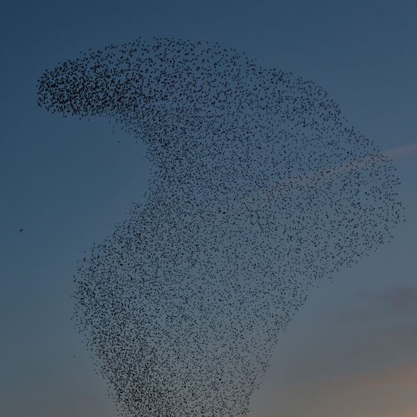 Wetlands Ripon 20251231 160819 01