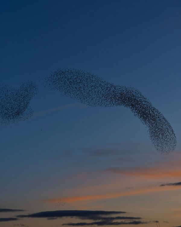 Wetlands Ripon 20251231 160827