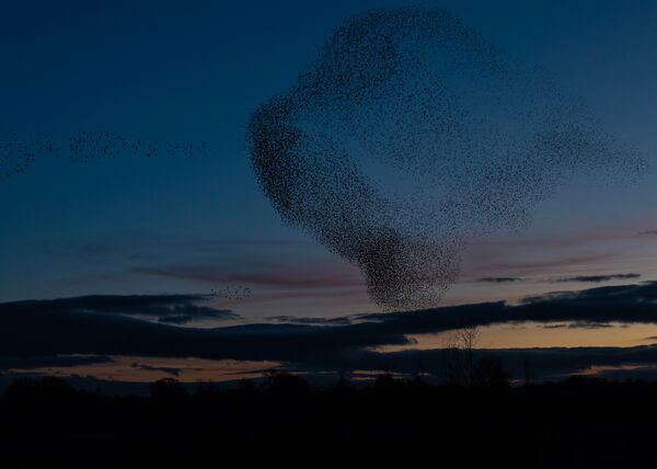 Wetlands Ripon 20251231 161810