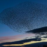 Wetlands Ripon 20251231 162050