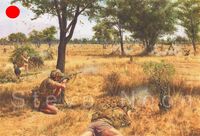 Rhodesian Bush War