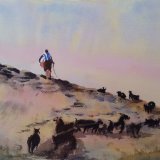 Morrocan Goatherder