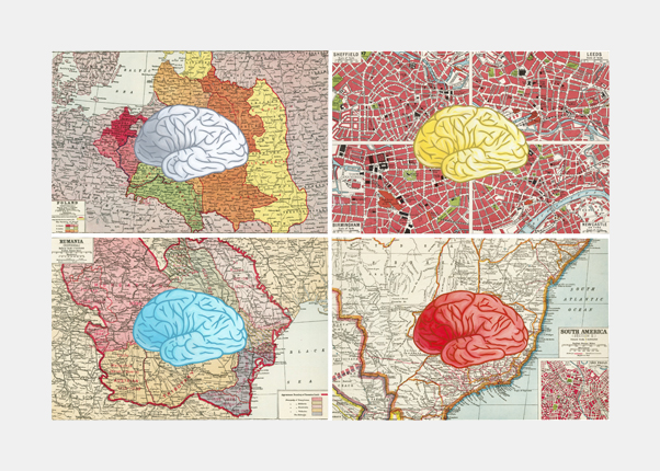 property of the brain