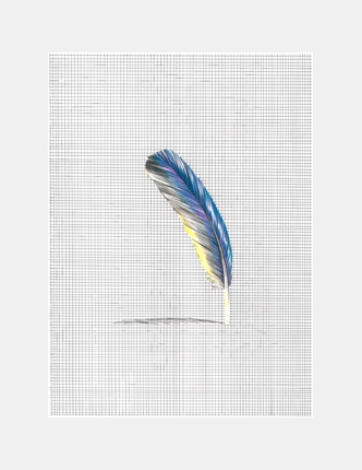 untitled (blue feather)