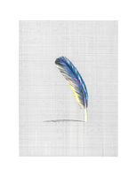 untitled (blue feather)