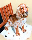 Commissioning artwork - People & animals