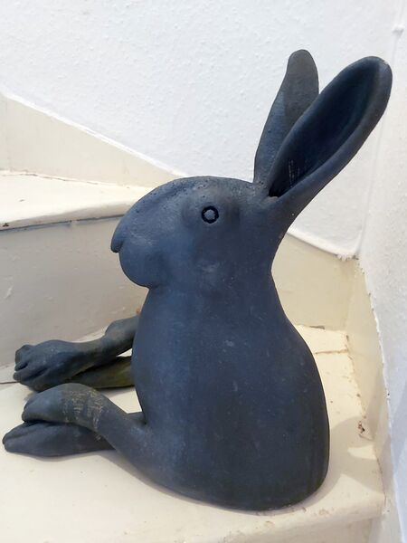 3. Black hare