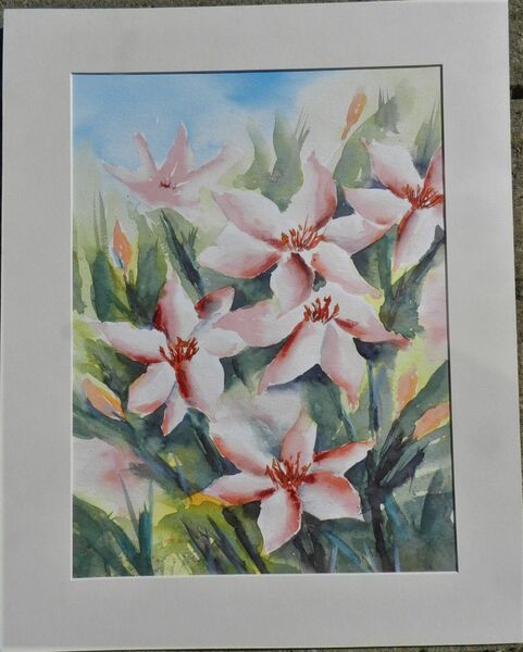 Spring Flowers