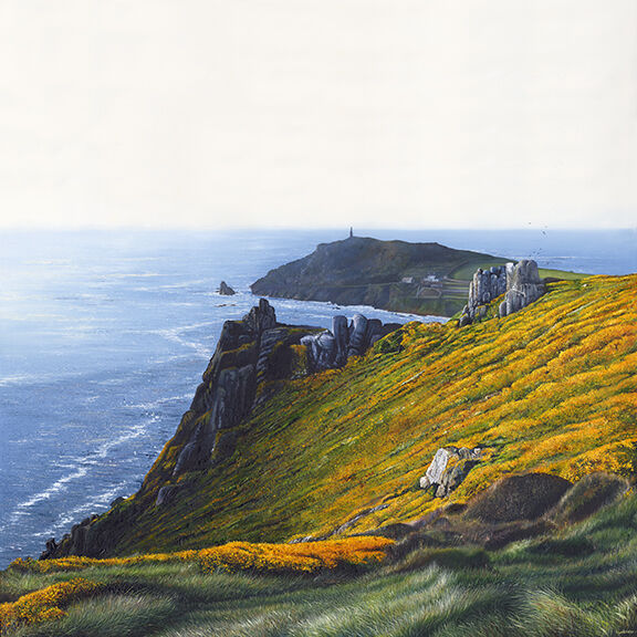 LE703 GORSE AT CAPE