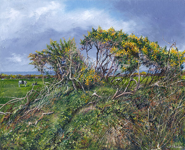 LE842 SPRING GORSE