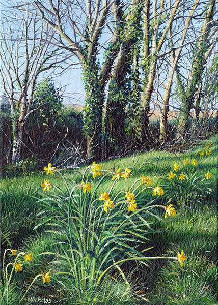 OE09 SPRING DAFFODILS