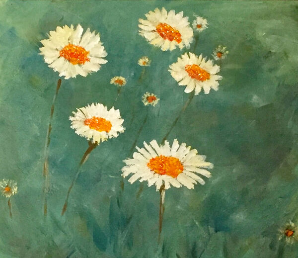9- Ox Eye daisies