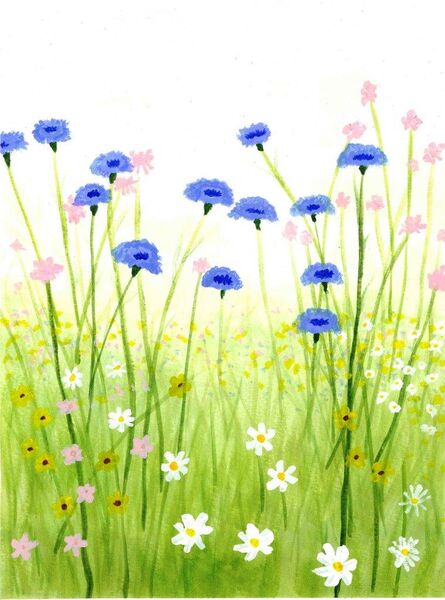 11- Summer meadow