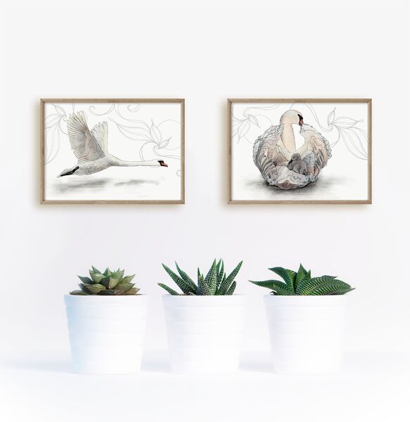 Swan Print Set