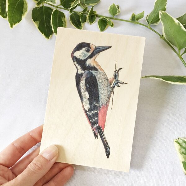 Woodpecker Wooden Postcard