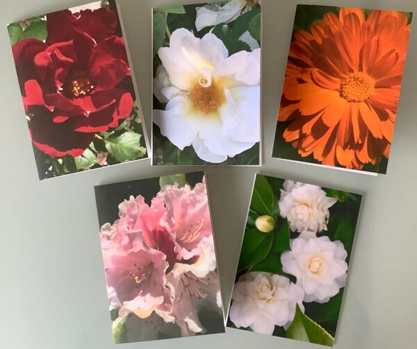 Greetings cards