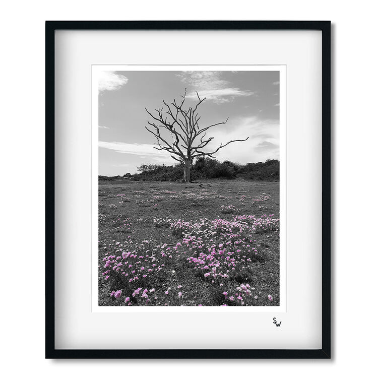 FAIRY TREE