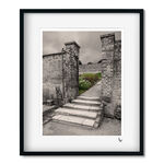 THE WALLED GARDEN