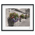 HANGING BASKETS