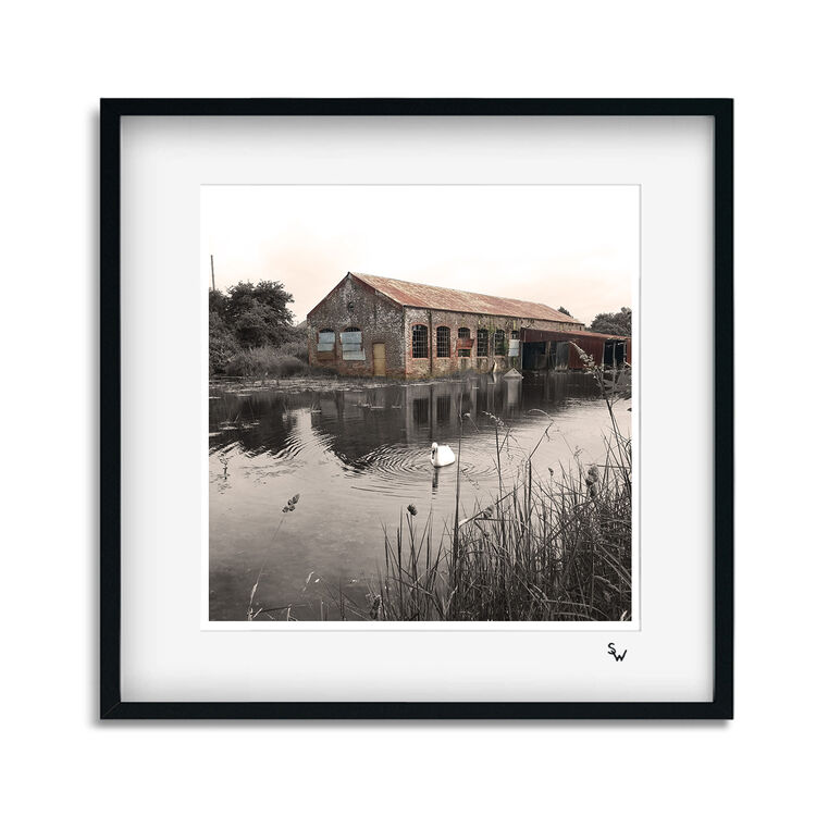 THE MARSHES