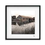 THE MARSHES
