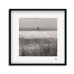 RED SAILS