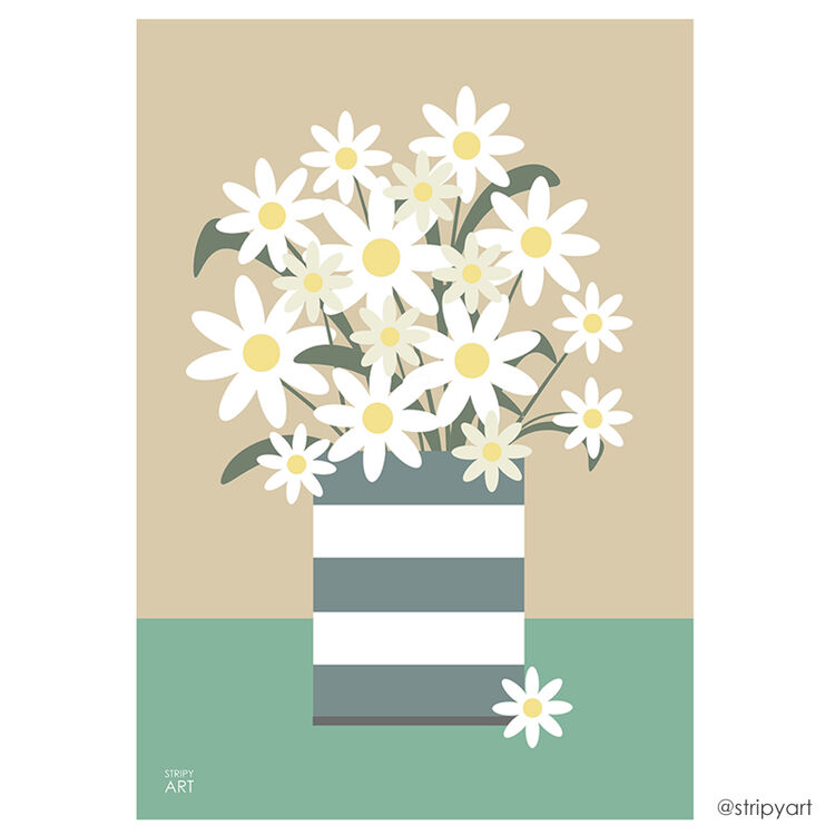 CORNISH DAISIES