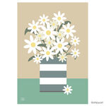 CORNISH DAISIES