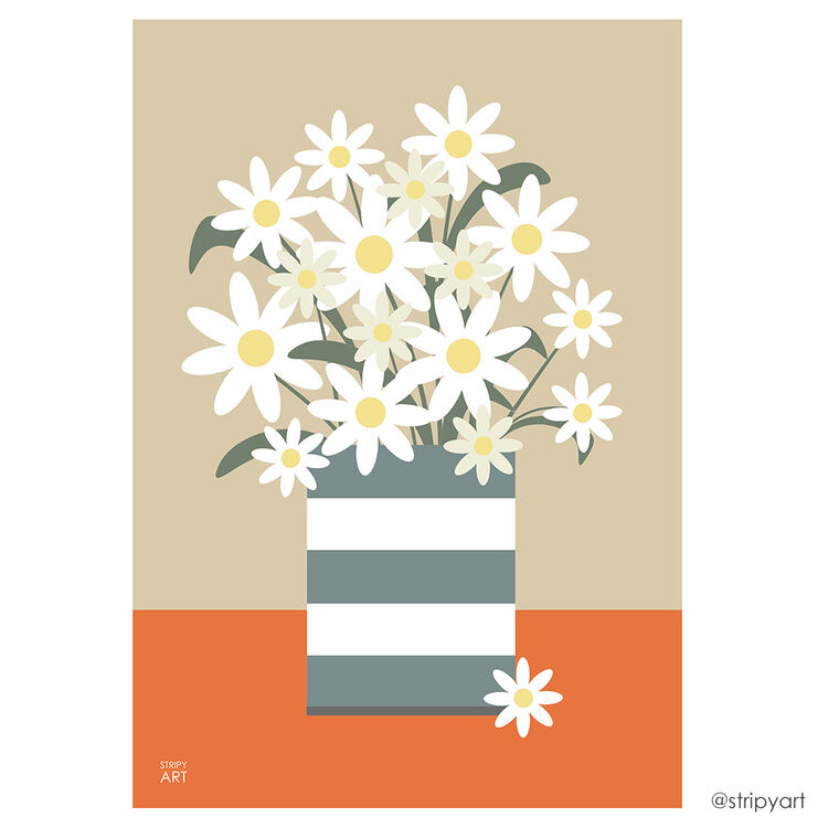 CORNISH DAISIES